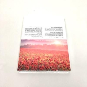 Field Of Poppies Folding Card x 25