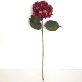 Burgundy Hydrangea 81cm