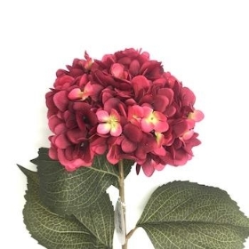 Burgundy Hydrangea 81cm