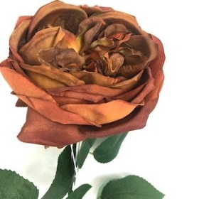 Brown Garden Rose 53cm