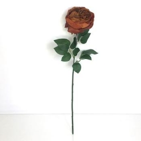 Brown Garden Rose 53cm