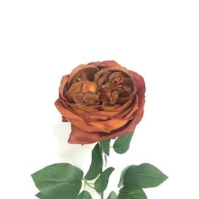 Brown Garden Rose 53cm