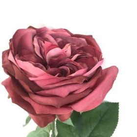 Dusky Pink Garden Rose 53cm