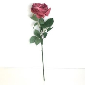 Dusky Pink Garden Rose 53cm