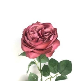 Dusky Pink Garden Rose 53cm