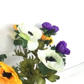 Yellow Purple White Anemone Bush 31cm