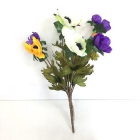 Yellow Purple White Anemone Bush 31cm