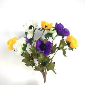 Yellow Purple White Anemone Bush 31cm