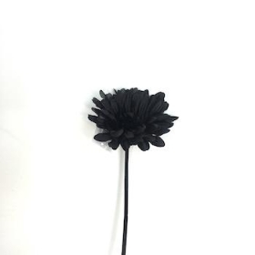 Black Gerbera 53cm