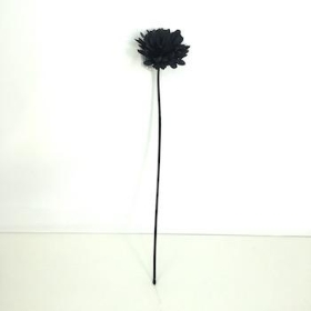 Black Gerbera 53cm