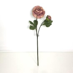 Dusky Pink Ranunculus 45cm