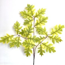 Light Green Oak Leaf Bundle 57cm