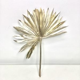 Platinum Dried Sun Palm 60cm x 6