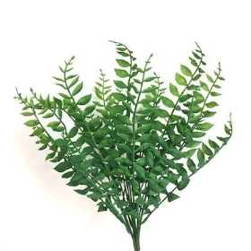 Green Fern Bush 40cm