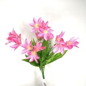 Pink Wild Lily Bush 29cm