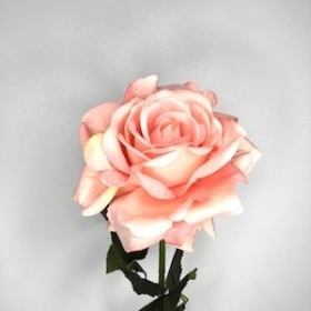 Peach Pink Velvet Rose 74cm