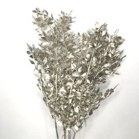 Dried Platinum Glitter Ruscus 70cm