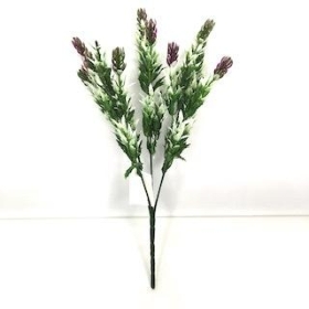 Plum Mini Thistle Bush 32cm