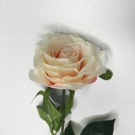 Peach Ivory Rose 63cm