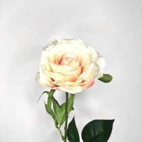 Peach Ivory Rose 63cm