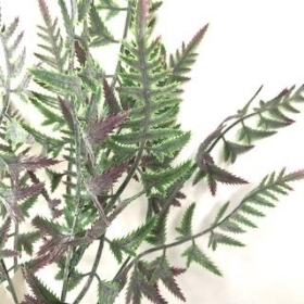 Purple Green Fern Bush 35cm