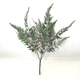 Purple Green Fern Bush 35cm