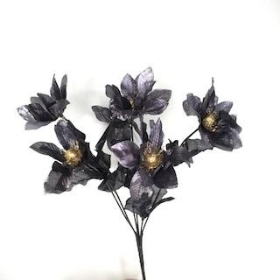 Black Poinsettia Bush 30cm