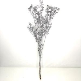 Dried Silver Glitter Ruscus 70cm