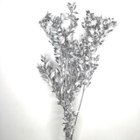 Dried Silver Glitter Ruscus 70cm