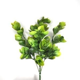 Green Euonymus Bush 32cm