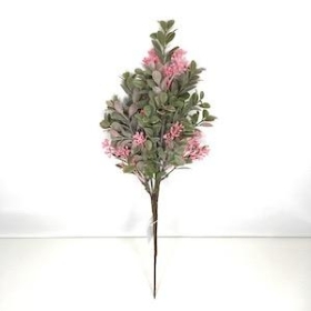 Pink Waxflower Foliage Bush 37cm