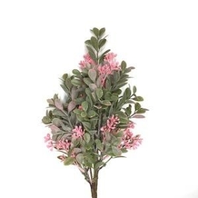 Pink Waxflower Foliage Bush 37cm