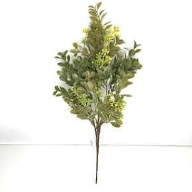 Yellow Waxflower Foliage Bush 37cm