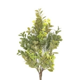 Yellow Waxflower Foliage Bush 37cm