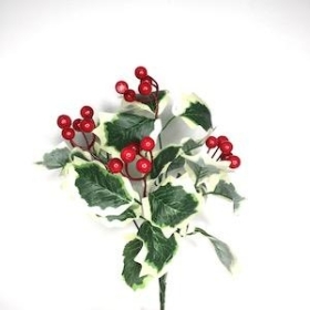 Variegated Holly And Berry Bush 33cm