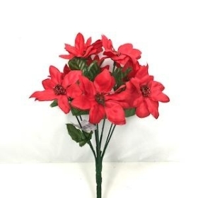 Red Mini Poinsettia Bush 24cm