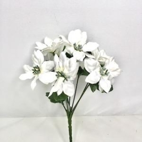 Ivory Mini Poinsettia Bush 24cm