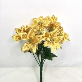 Gold Mini Poinsettia Bush 24cm
