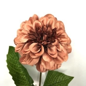 Russet Zinnia 44cm