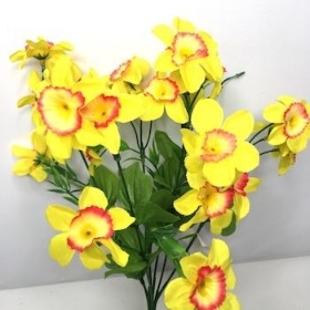 Yellow Orange Mini Daffodil Bush 32cm