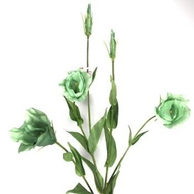 Green Lisianthus 75cm