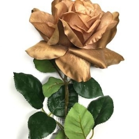 Caramel Rose 65cm