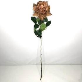 Caramel Rose 65cm