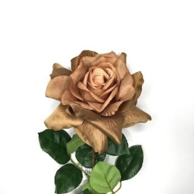 Caramel Rose 65cm