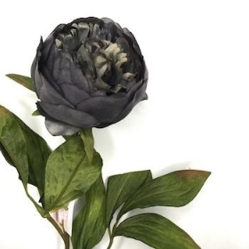 Dark Grey Peony 62cm