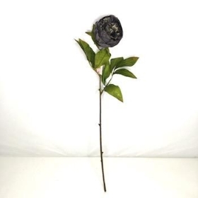 Dark Grey Peony 62cm