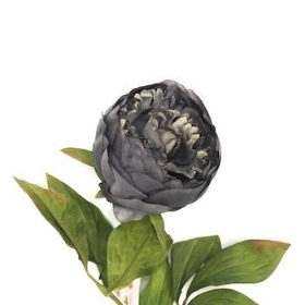 Dark Grey Peony 62cm