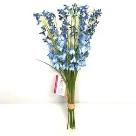 Bluebell Bundle 38cm