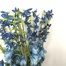 Bluebell Bundle 38cm