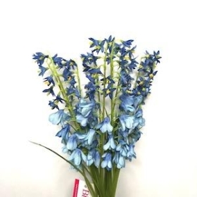Bluebell Bundle 38cm